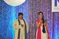NATS Telugu Sambaralu 2013 Photos